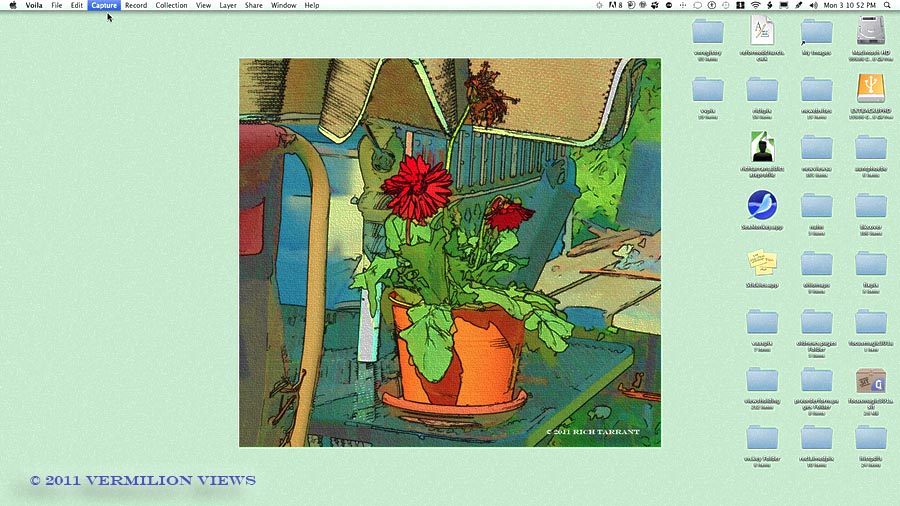 July 16, 2011 - Flowers