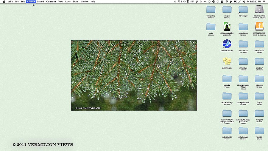 May 2011 - Water on Pine