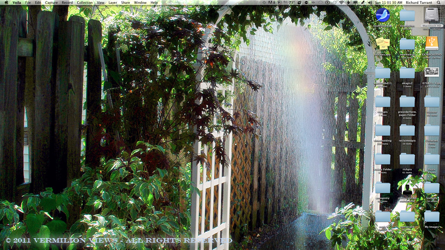 September 10, 2011 - The Arbor