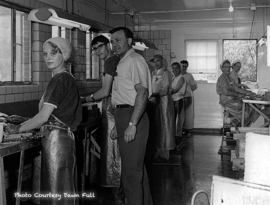 Kishman Fish Cutters