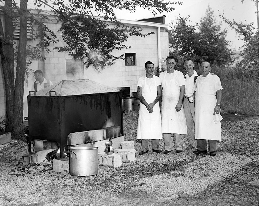 VERMILION LIONS 1955