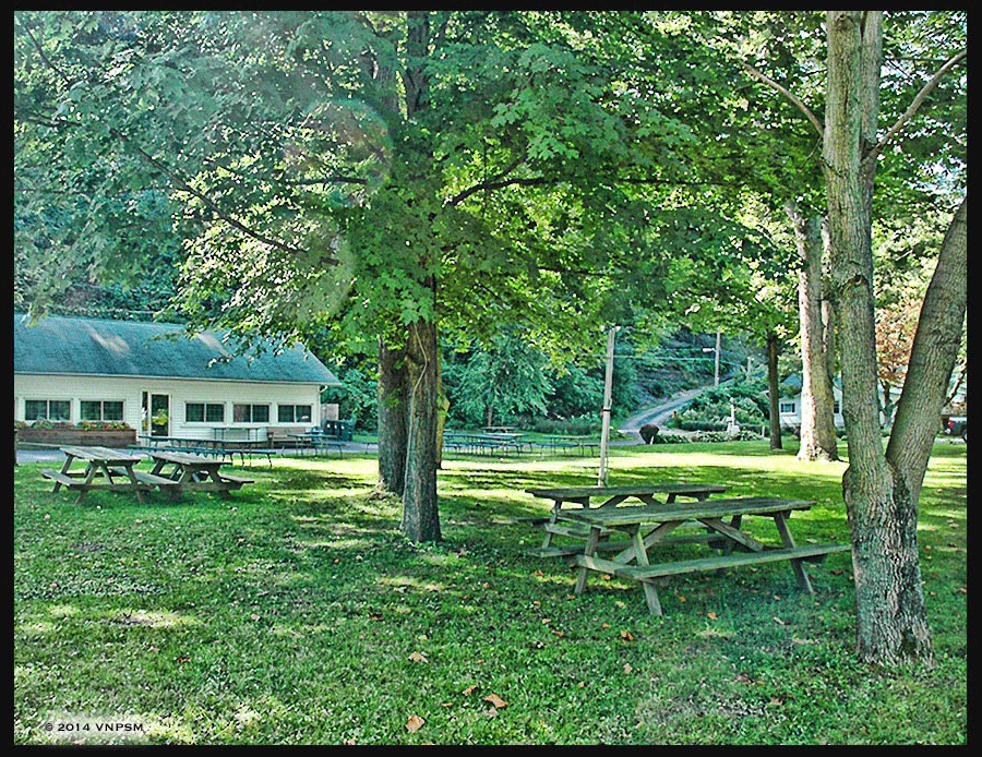Olympic Outing Club grounds 
width=