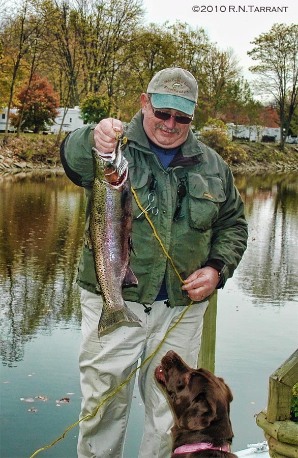 Terry Diener - 2010